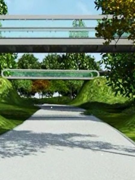 Reamenajarea parcului Drumul Taberei