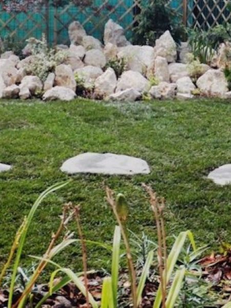 Gradina privata in Bucuresti